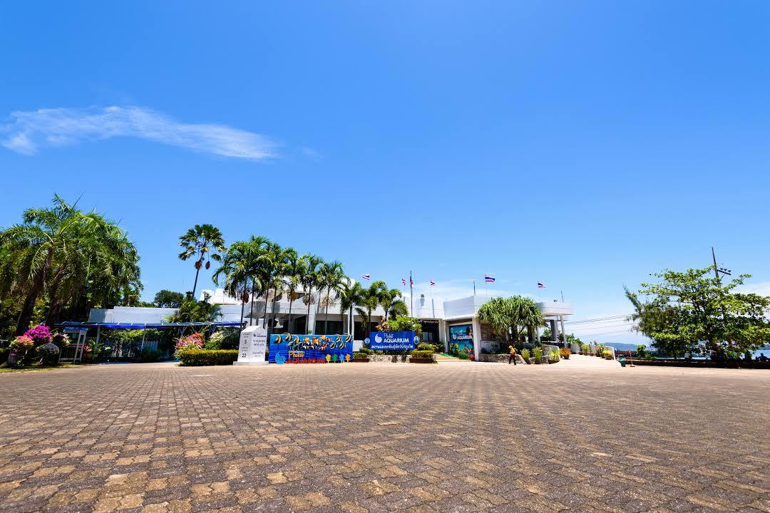 Akwarium w Phuket